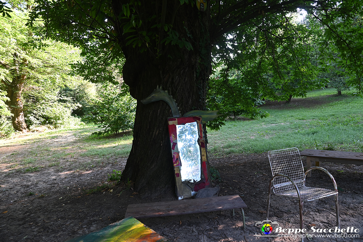 VBS_4899 - Il bosco fatato - Montaldo Roero.jpg